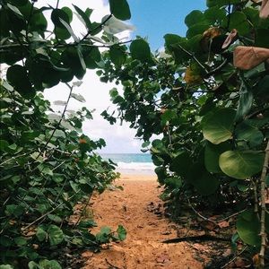 Meet your Posher, Claudia